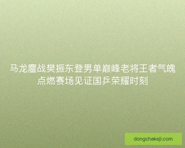 马龙鏖战樊振东登男单巅峰老将王者气魄点燃赛场见证国乒荣耀时刻