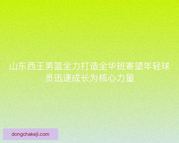 山东西王男篮全力打造全华班寄望年轻球员迅速成长为核心力量
